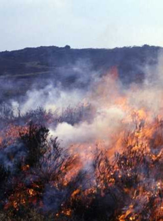Moorland fire © Moors for the Future
