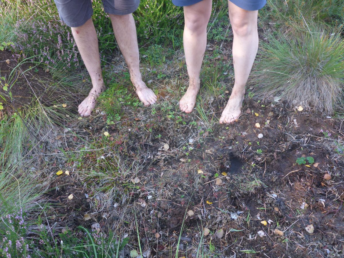 Bare foot on Kemeru Raised Mire - Credit Alison Austin