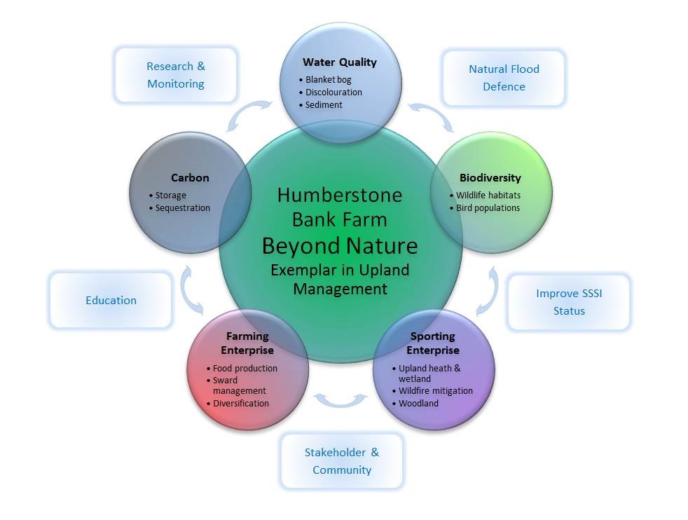 Humberstone Bank Farm - Beyond Nature diagram