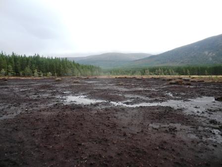 Cairngorms Peatland Restoration Project