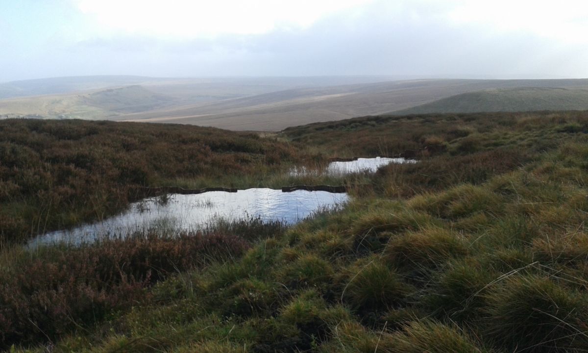 Gully blocking by Moors for the Future