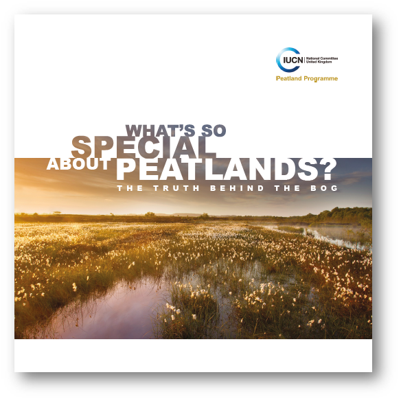 What's So Special about Peatlands leaflet link