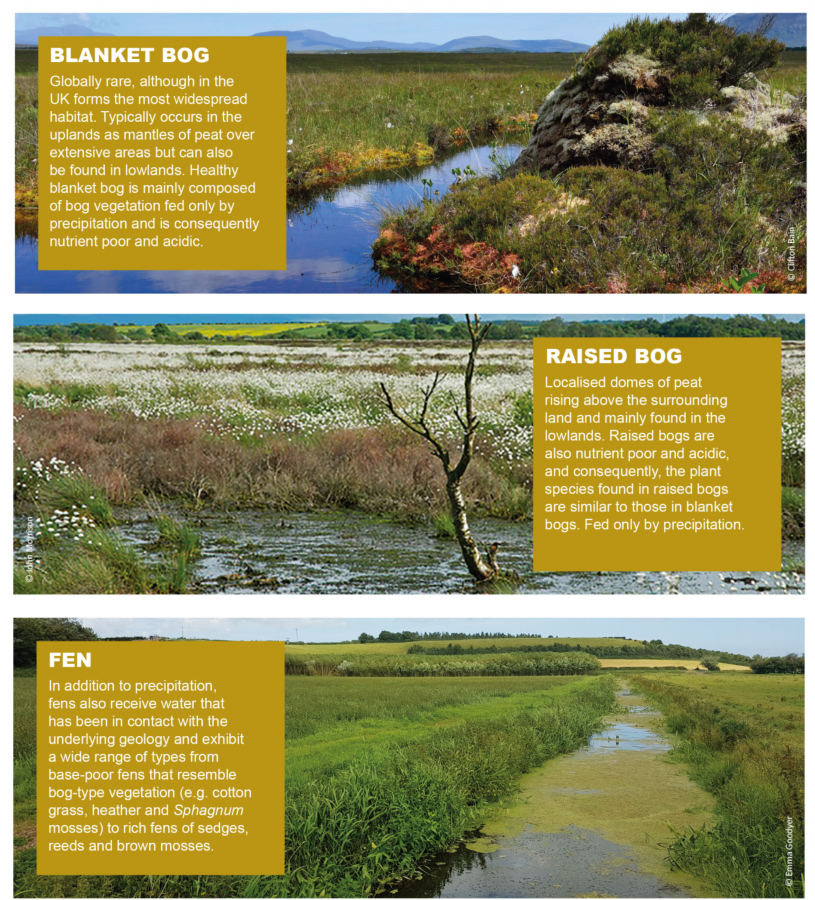 Three broad peatland types in the UK