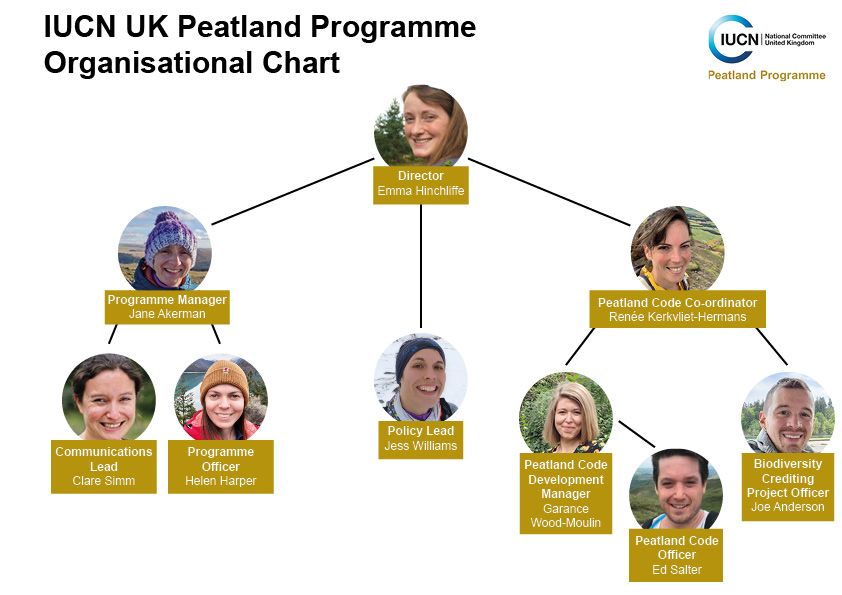 Diagram showing IUCN UK Peatland Programme organisational structure