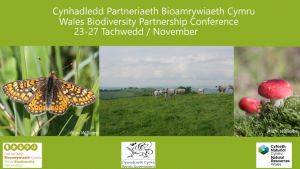 Wales Biodiversity Partnership Conference 2020