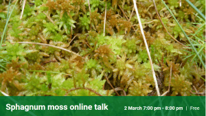 Sphagnum moss - what's all the fuss about?