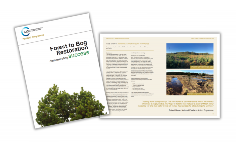 Forest to bog publication cover and example spread
