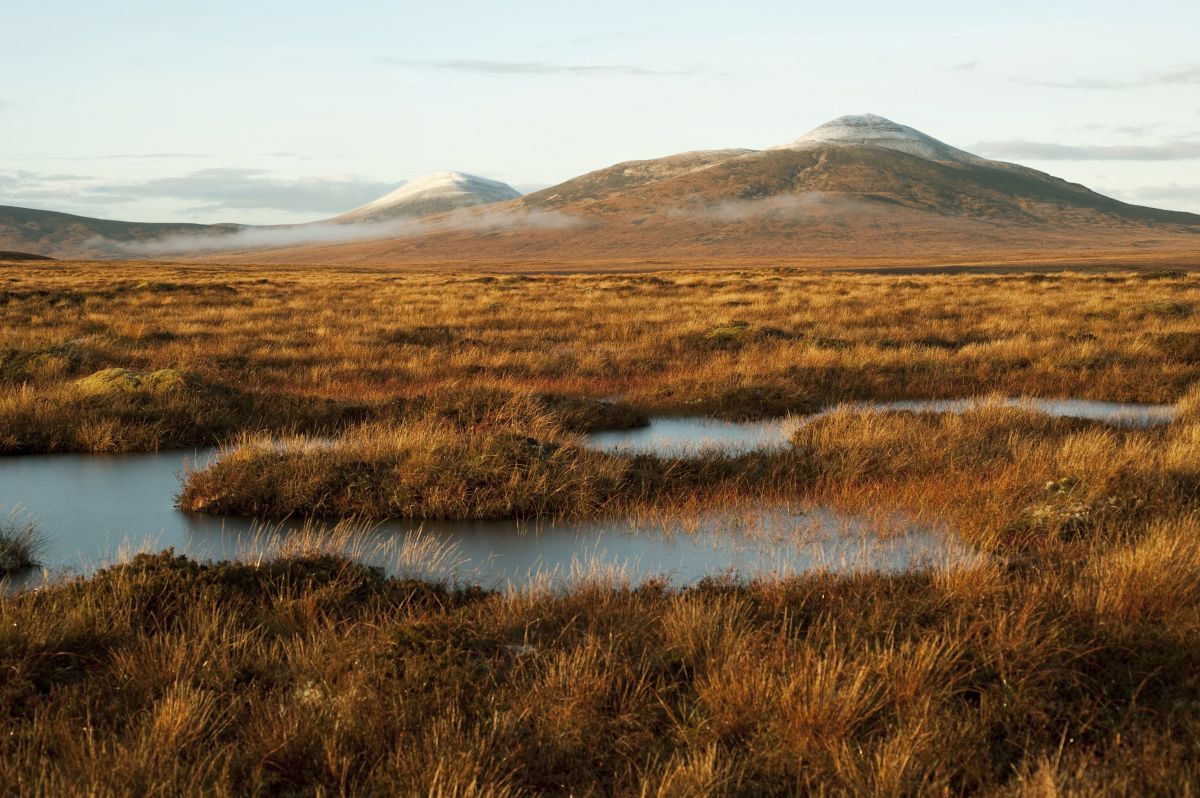 Forsinard Flows - Credit Eleanor Bentall / rspb-images.com