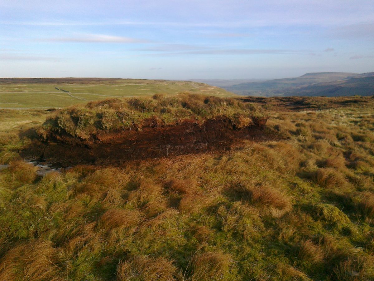 Peat hag at Bishopdale, photo credit: Matt Cross