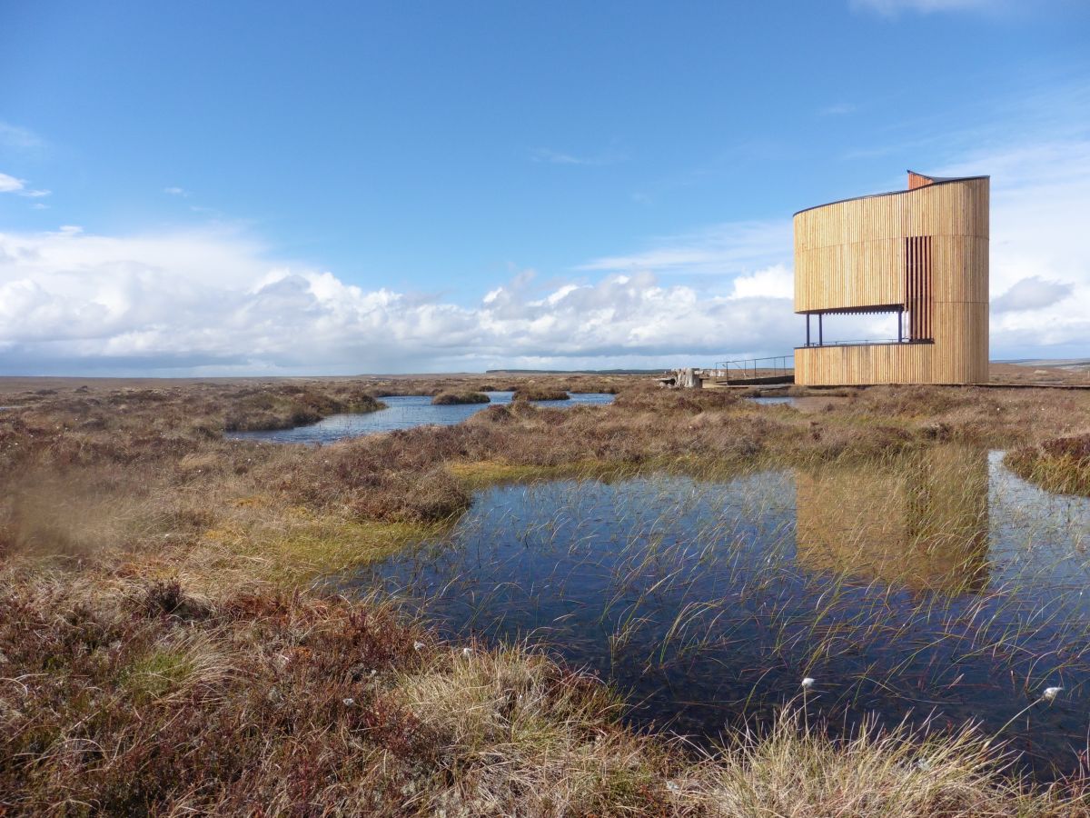 Flows Lookout Tower