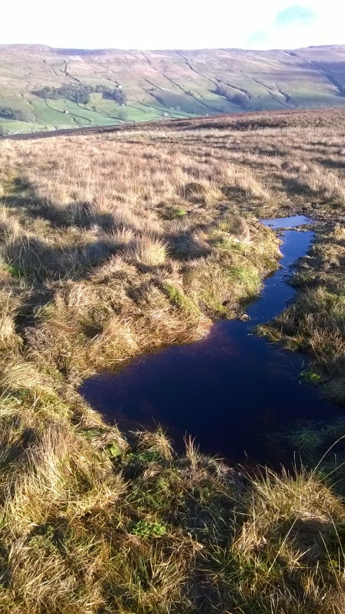 Peat dam above Nethergill Farm © Matt Cross