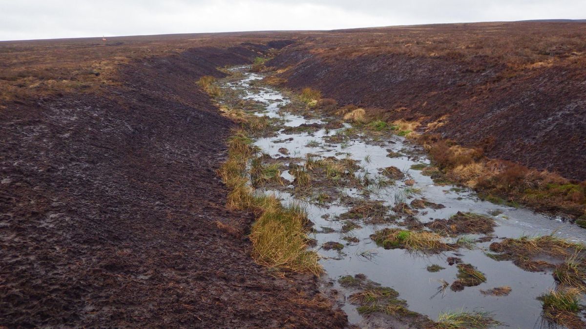 Reprofiled gully in Nidderdale