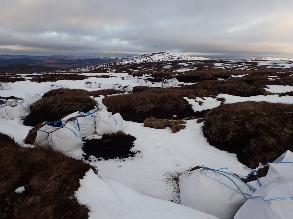 Snow in the Cairngorms