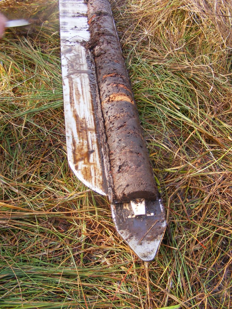 Peat core from Ben Lomond - Credit Alasdair Eckersall