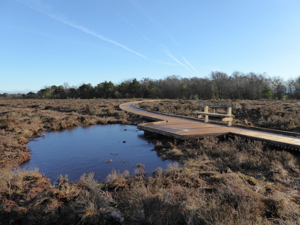 New boardwalk at Braehead Moss.