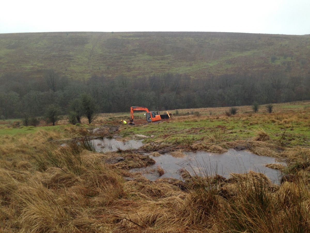 Restoration work in North Exmoor