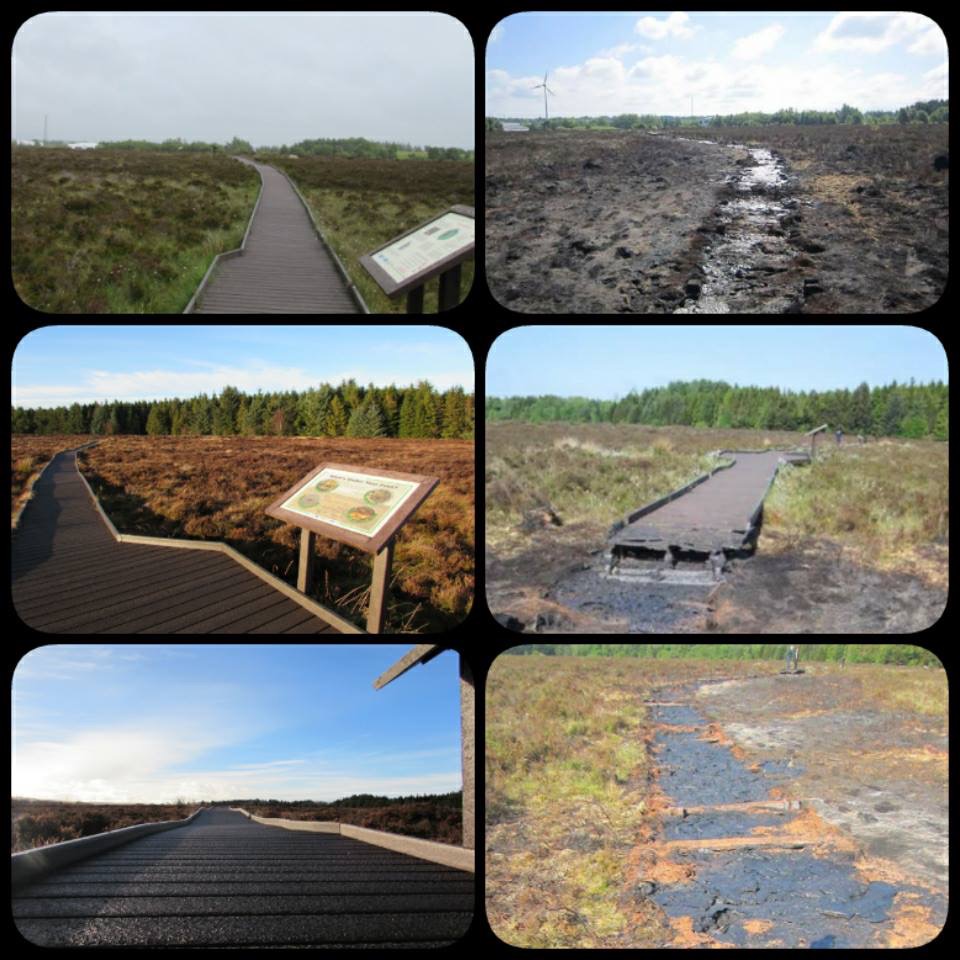 Collage of Langlands Moss LNR - Credit Maureen Potter