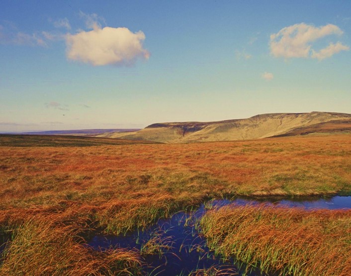 Cray Moss - Credit Rob Stoneman