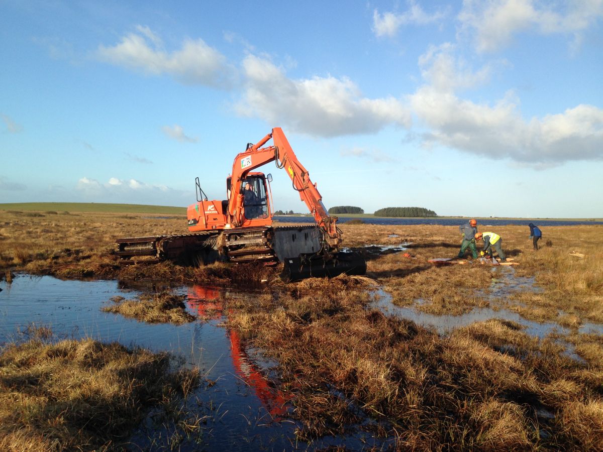 Crowdy Marsh - Credit Exmoor Mires Partnership