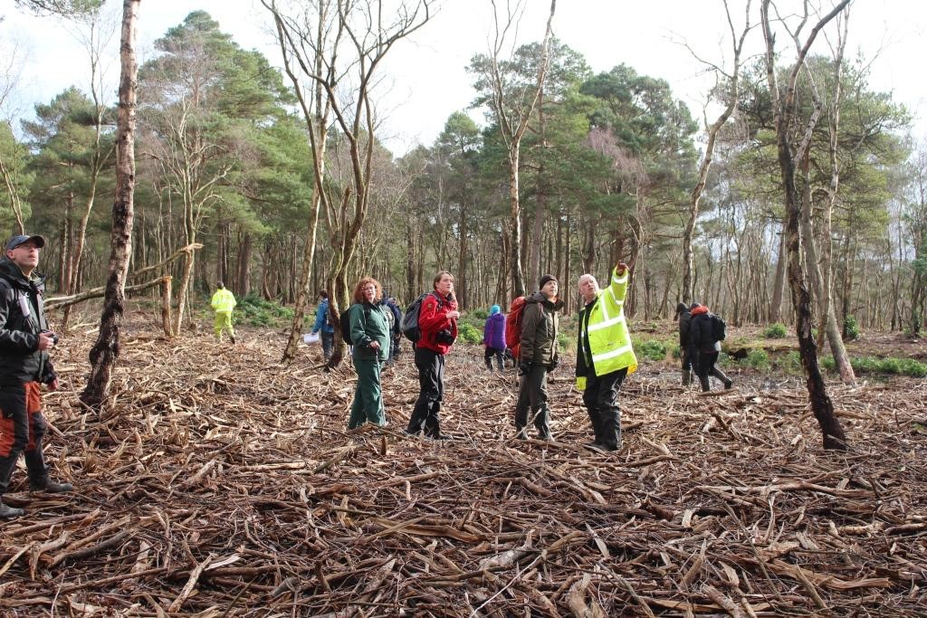 Roudsea Wood & Mosses