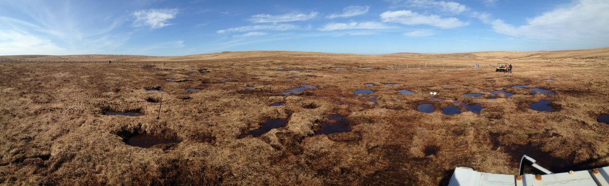 Dartmoor - Credit Exmoor Mires