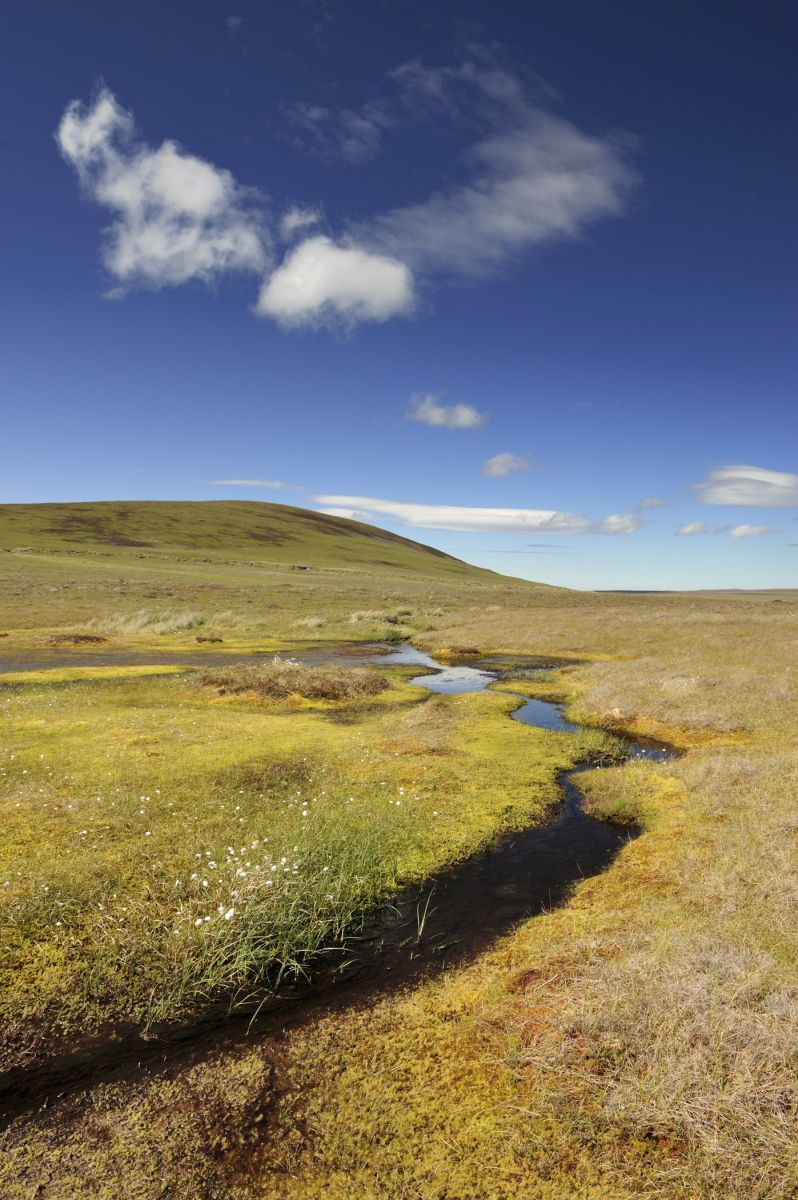 Flow Country © Lorne Gill/SNH