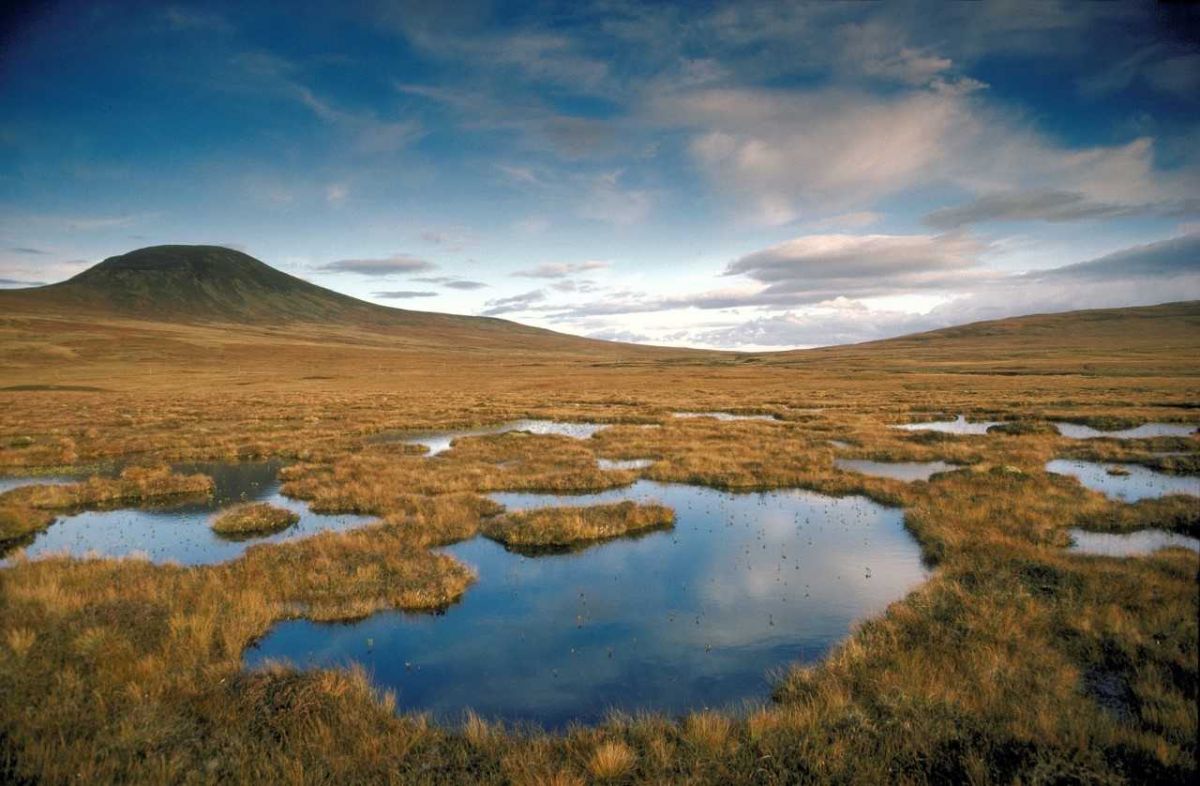 ©Steve Moore/Scottish Natural Heritage