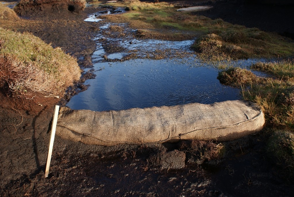 GeoSisal Peatsock dams forming an effective and sustainable peat dam