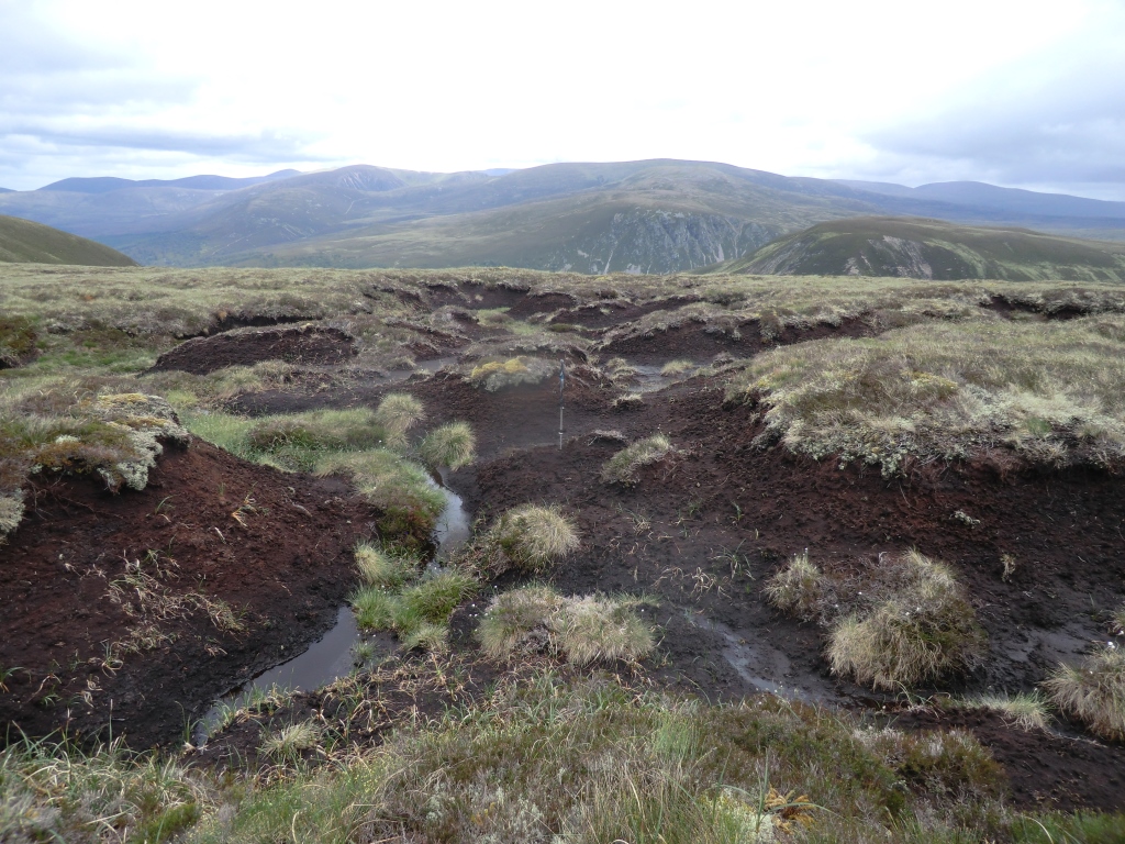 Glenfeshie Estate - Credit Stephen Corcoran