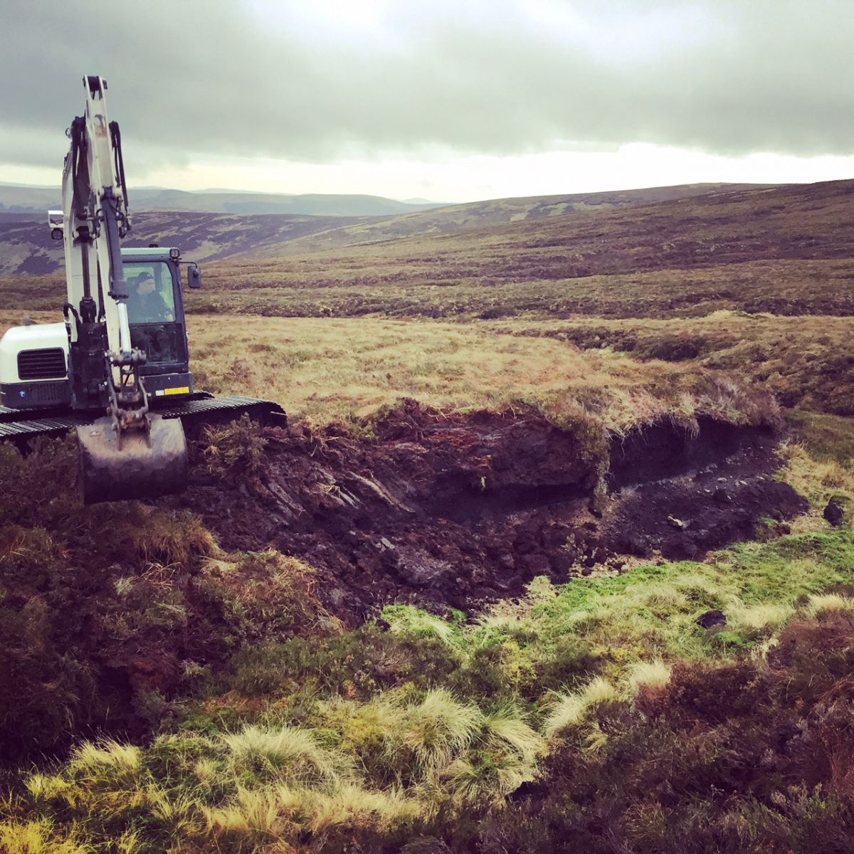 Restoration works at Dryhope © Forest Carbon Ltd