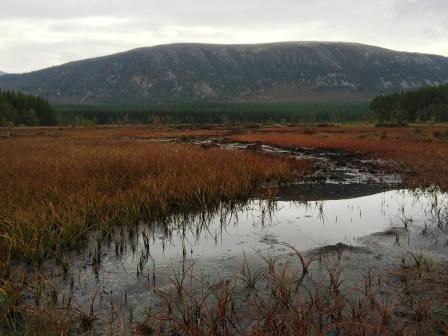 Cairngorms Peatland Restoration Project