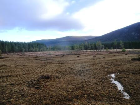 Cairngorms Peatland Restoration project