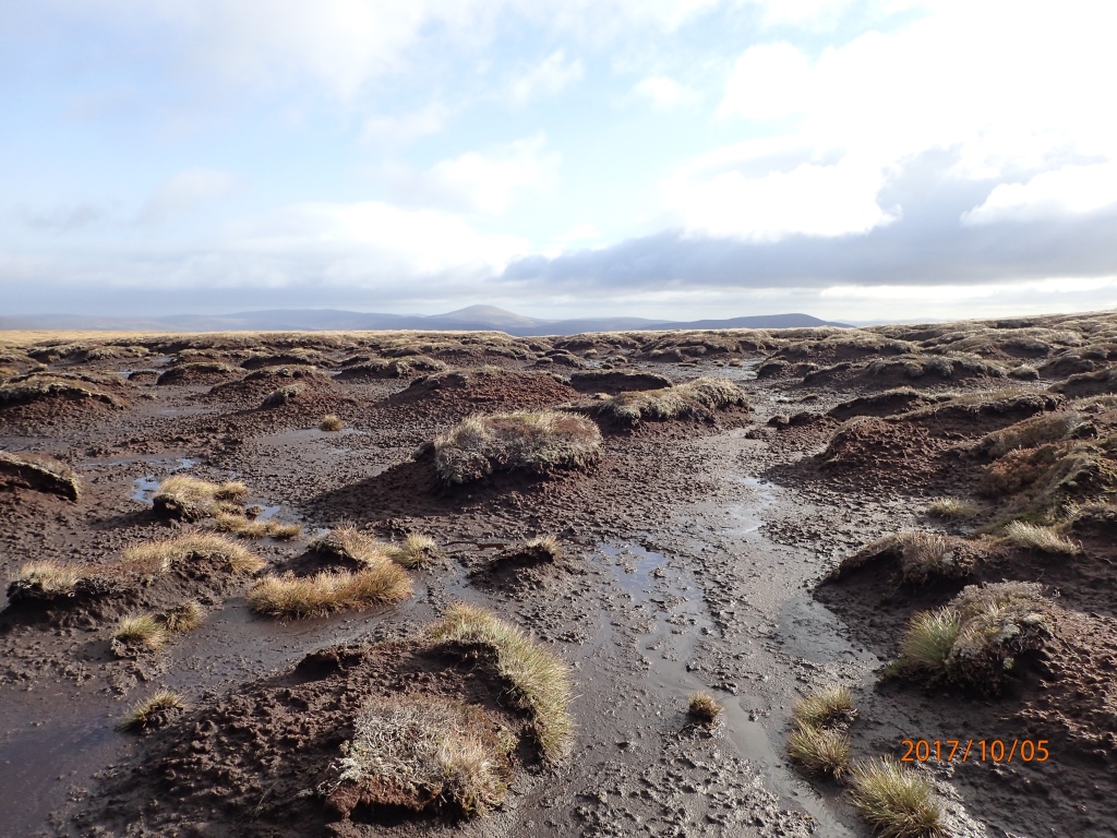 Invercauld Project Site - Credit Stephen Corcoran