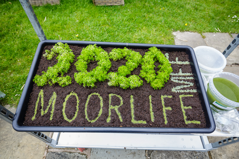 MoorLIFE 2020