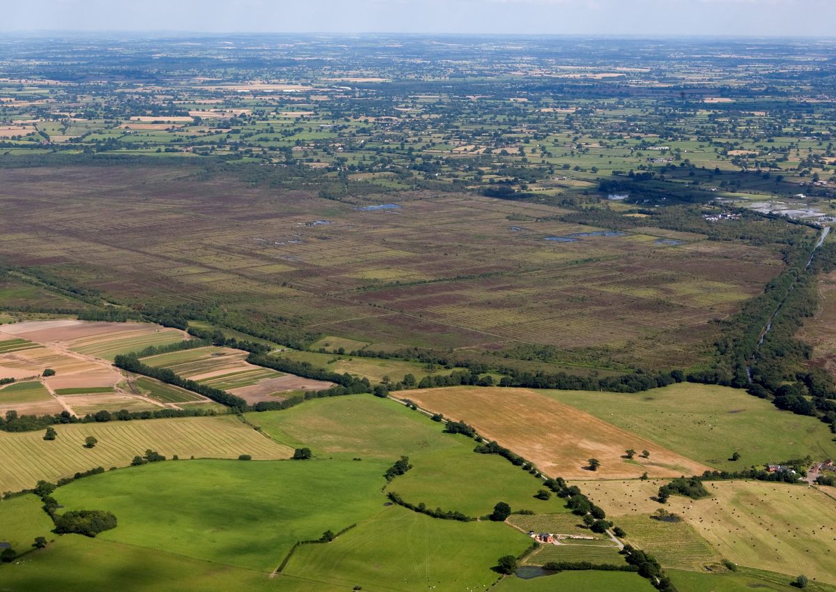 Marches Mosses - Credit Shropshire Wildlife Trust