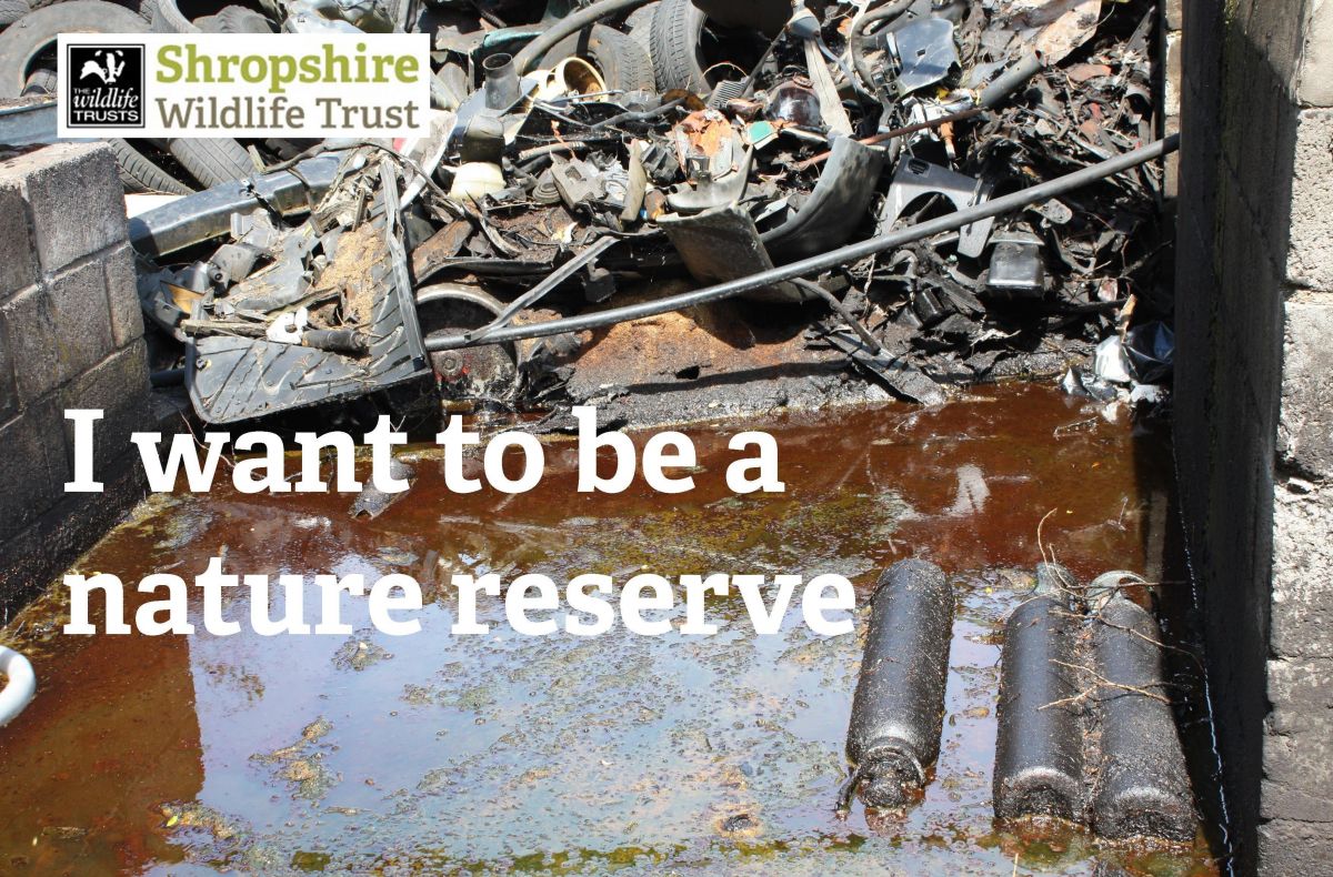 Marches Mosses scrapyard - Credit Shropshire Wildlife Trust