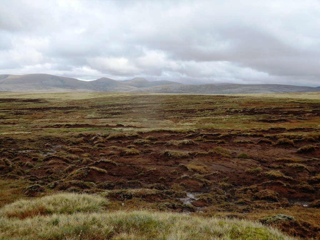 Moine Mhor degraded bog