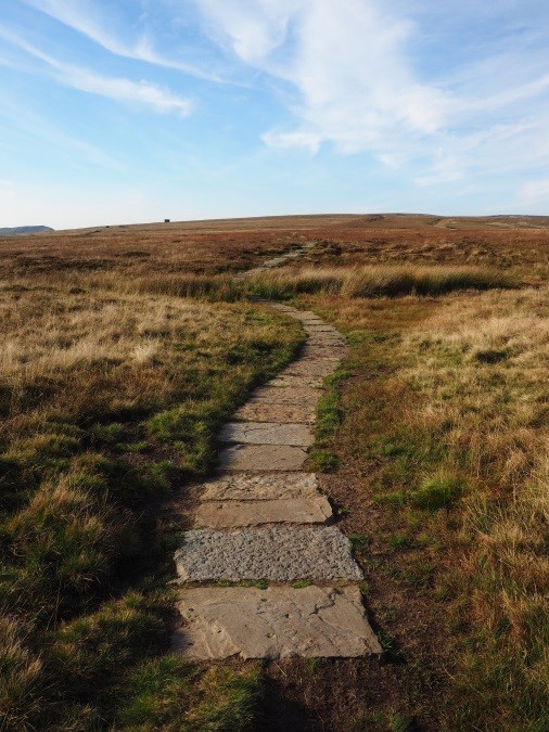 Footpath on Brown Knoll