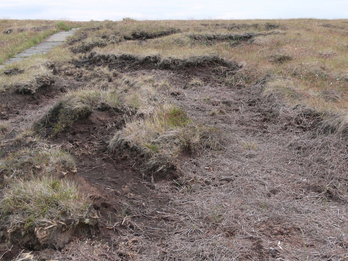 Wessenden Moors - Credit Penny Anderson