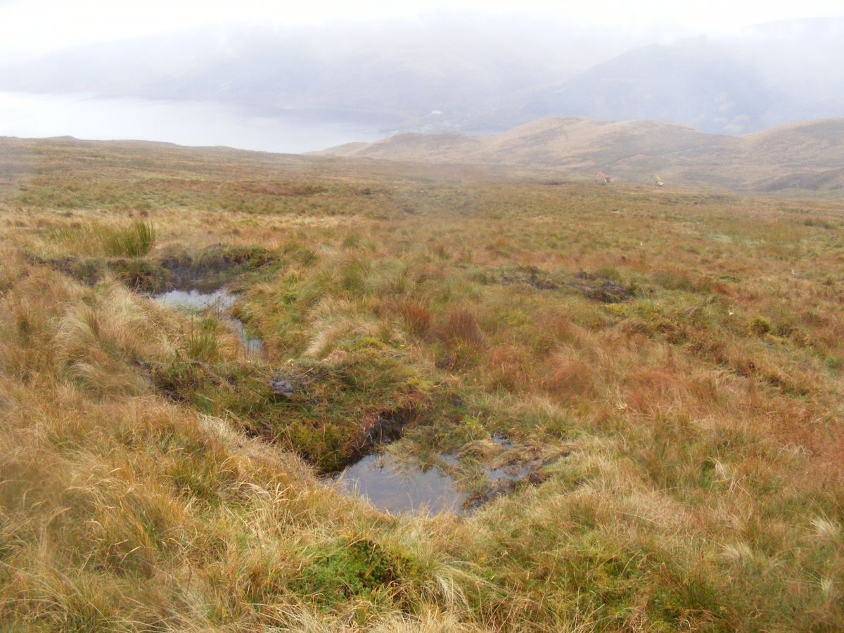 Peat dams on Ben Lomond - Credit Stuart Brooks