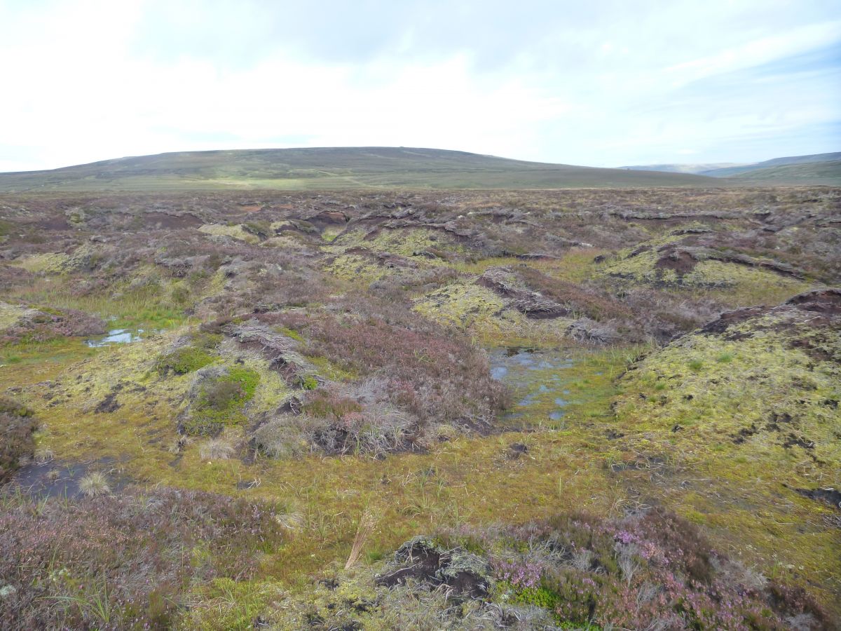 Restoration at Moor House Upper Teesdale NNR