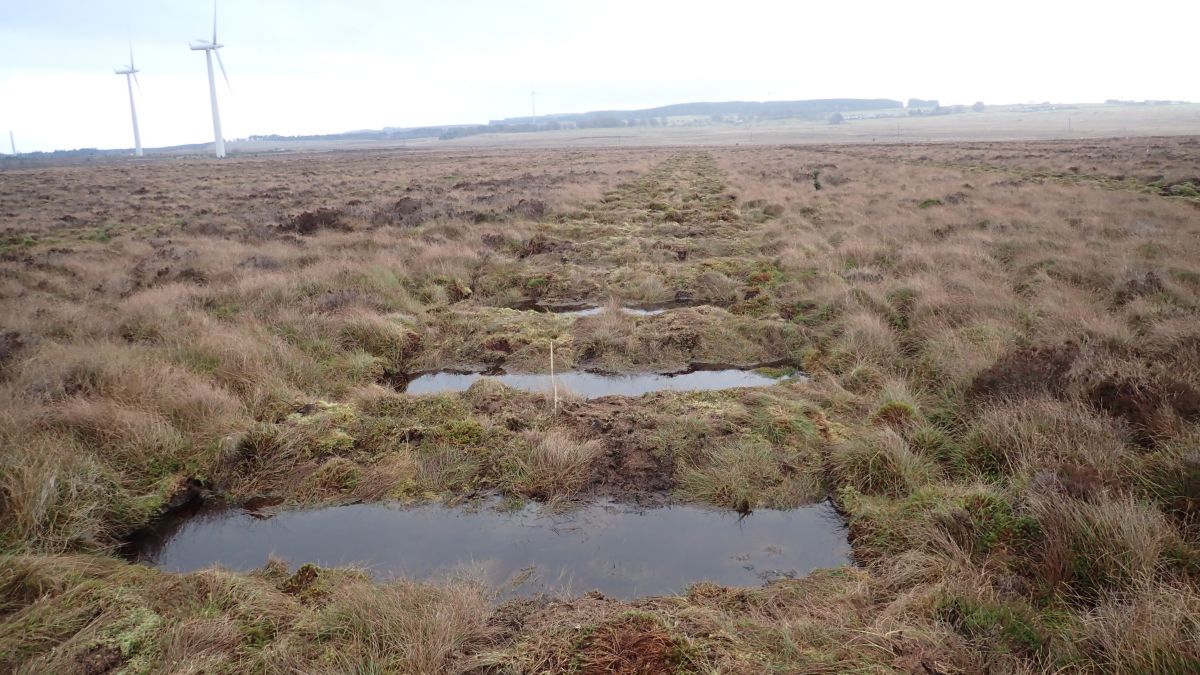 Black Law Windfarm - Credit Scottish Power Renewables