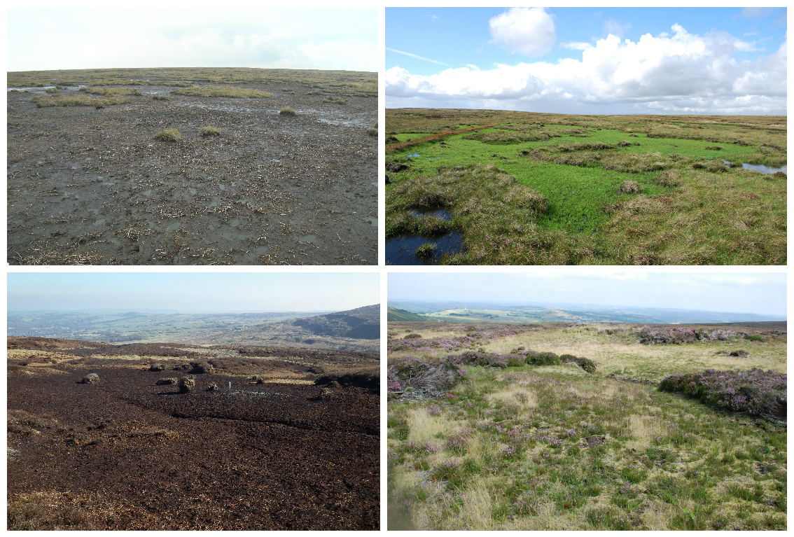 Saddleworth and Deer Hill Moss