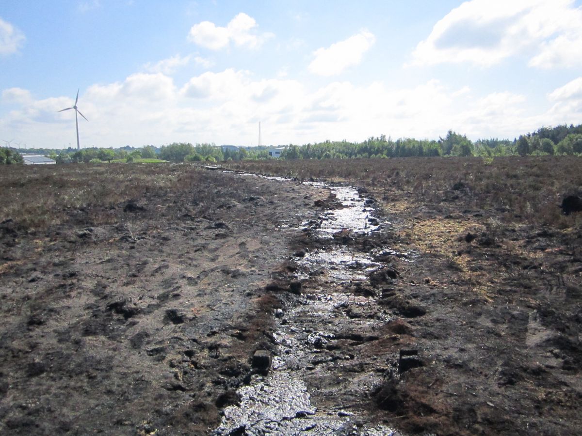 Damaged boardwalk on Langlands Moss LNR - Credit Maureen Potter