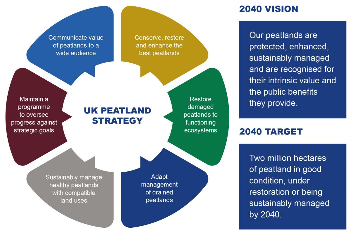 Fen Peatlands  IUCN UK Peatland Programme