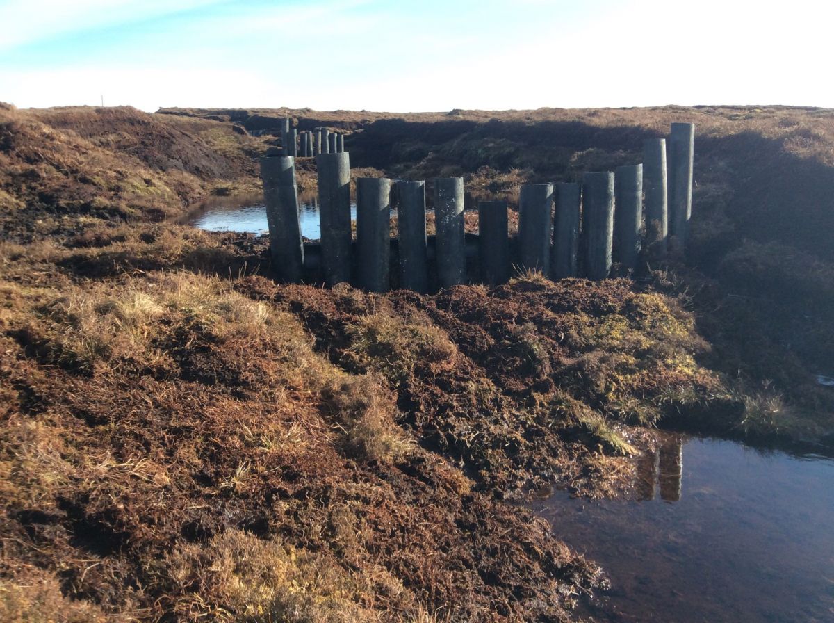 Salmon farm pipe dam