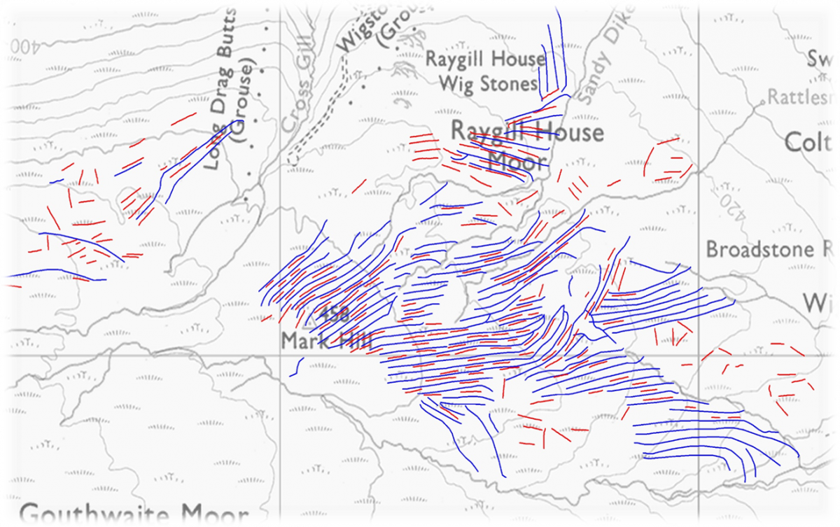 Inoculation areas between grips