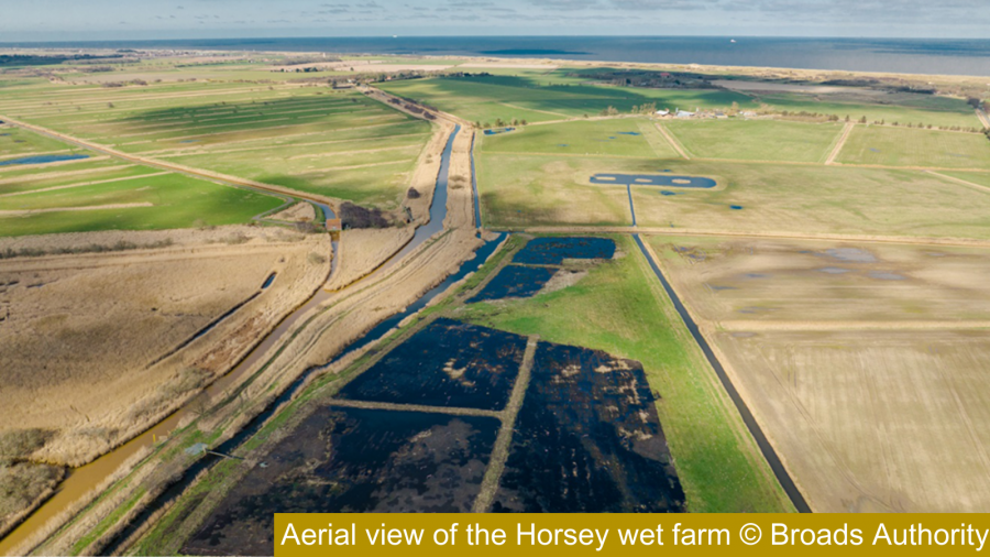 Aerial view of the Horsey wet farm (Broads Authority)