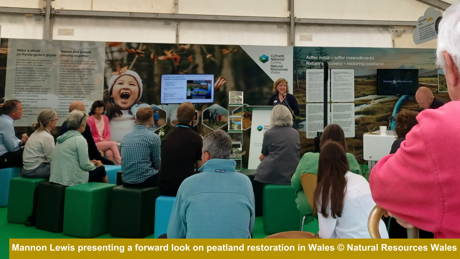 Mannon Lewis, who heads the upscaling of NPAP, presenting a forward look on peatland restoration in Wales and inviting responses.