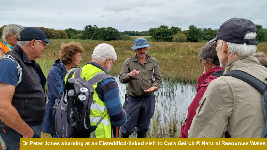 Dr Peter Jones sharing his peatland expertise and passion on an Eisteddfod-linked visit to Cors Geirch in collaboration with Cymdeithas Edward Llwyd (Welsh natural history group).